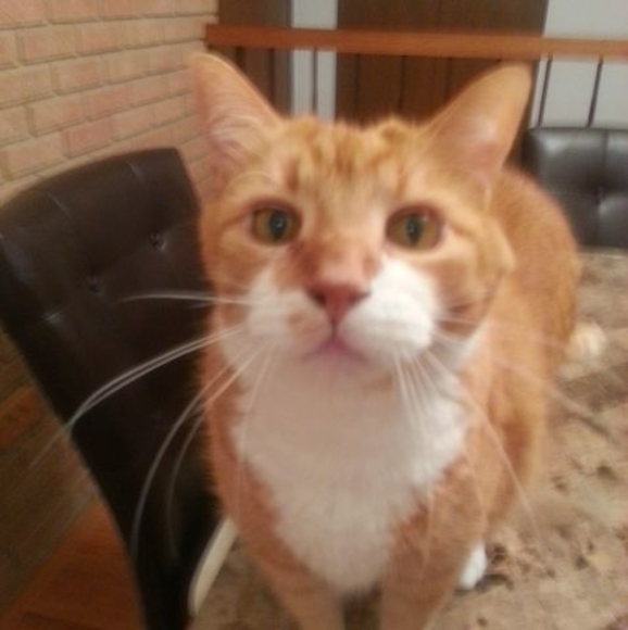 Meet your Posher, Bridgette - Picture 1 of 1